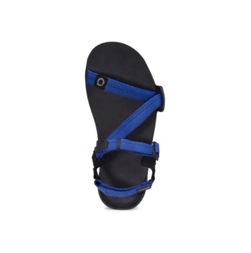 Xero Sandals - Z-Trail EV - Sodalite Blue - Men's