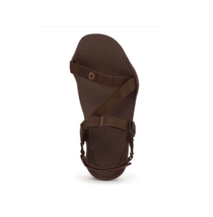 Xero Sandals - Z-Trek - Brown - Men's