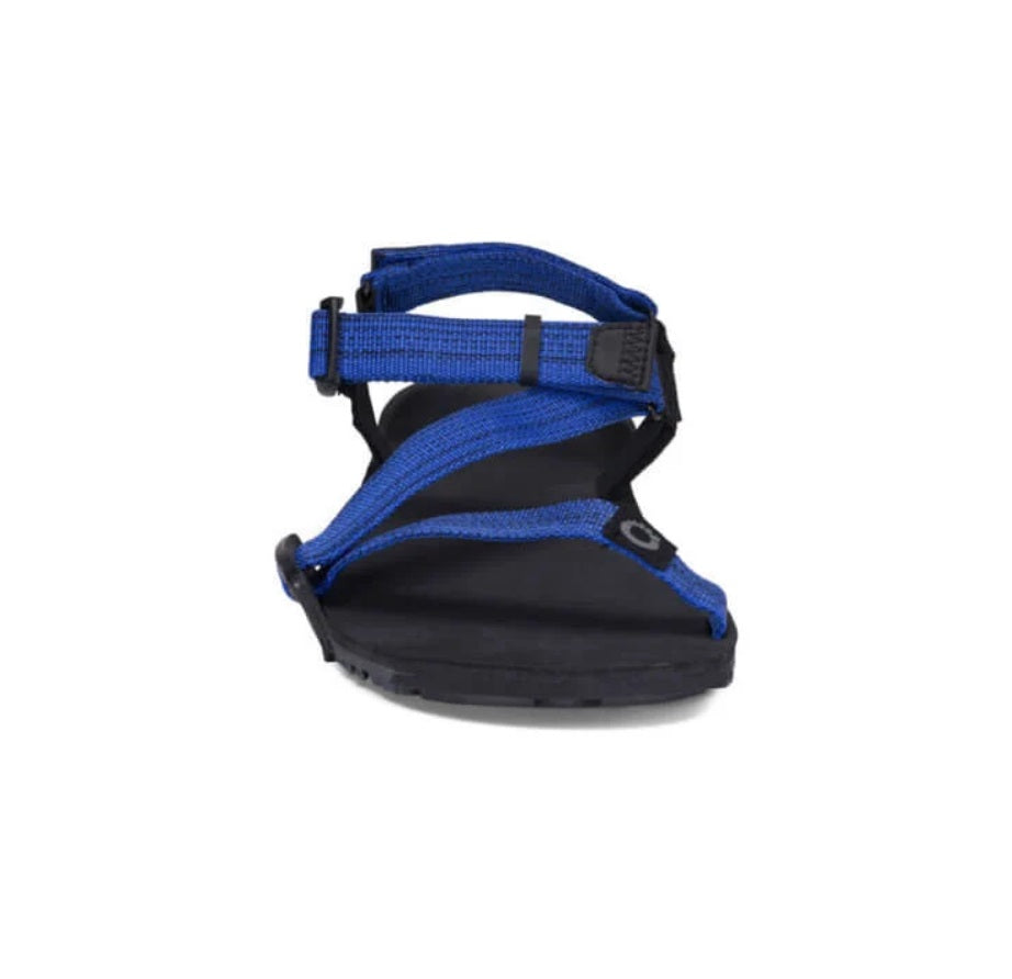 Xero Sandals - Z-Trail EV - Sodalite Blue - Men's