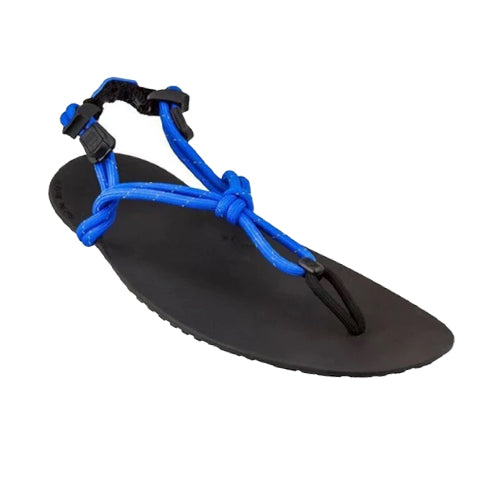 Xero Sandals - Genesis - Royal Blue - Men's
