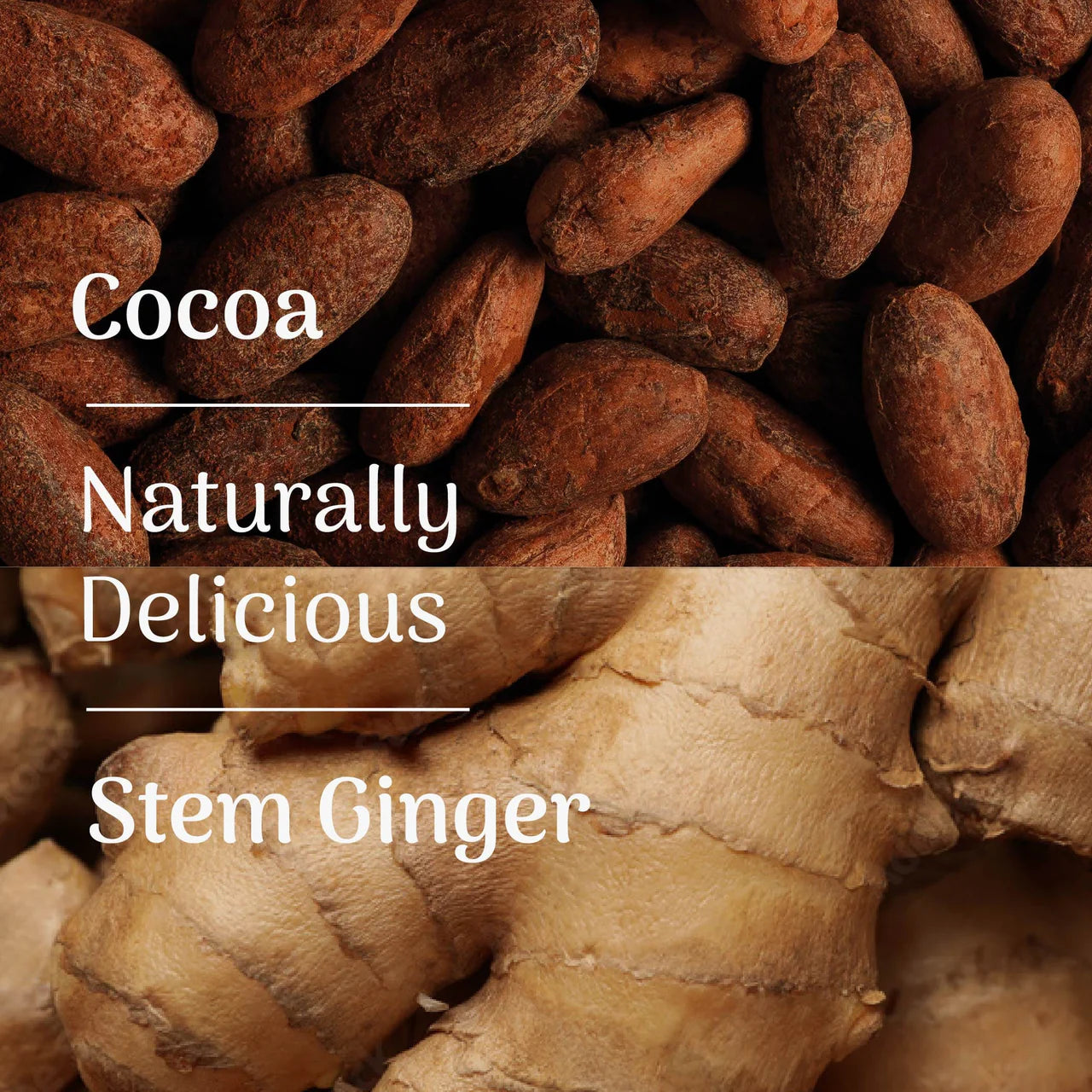 Veloforte - Protein Crunch Bar with Collagen - Cocoa & Stem Ginger