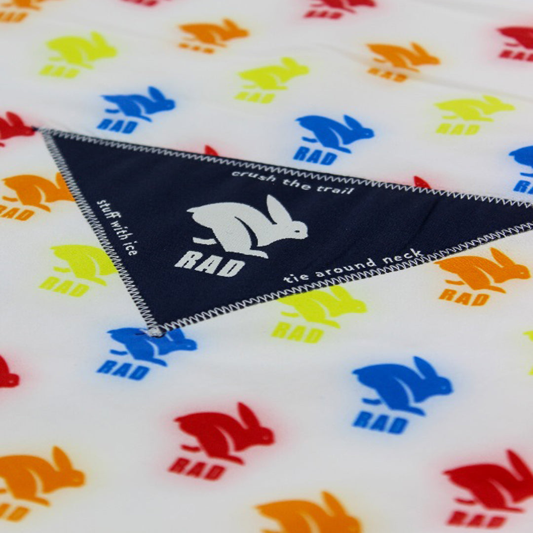 rabbit - RAD-Dana - Multi