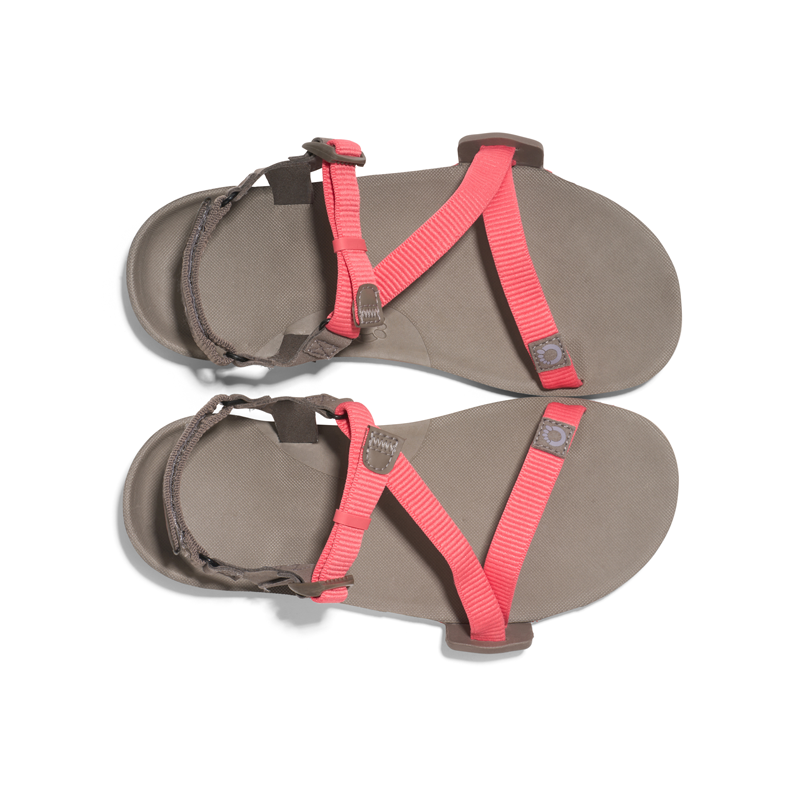 Red Dot Running Company Xero Sandals Z-Trail EV Sunset Coral