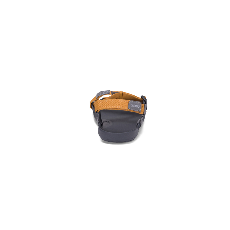 Red Dot Running Company - Xero Sandals - Z-Trek - Nugget - Men's