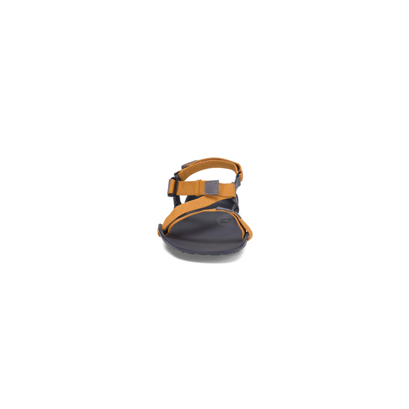 Xero Sandals - Z-Trek - Nugget - Men's