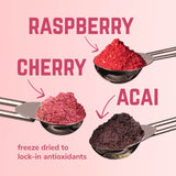 Veloforte Recovery Protein Shake - Vita (Superberry & Ginseng Blend) - Single-Serving Sachet